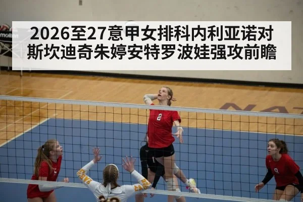 volleyball blocker net