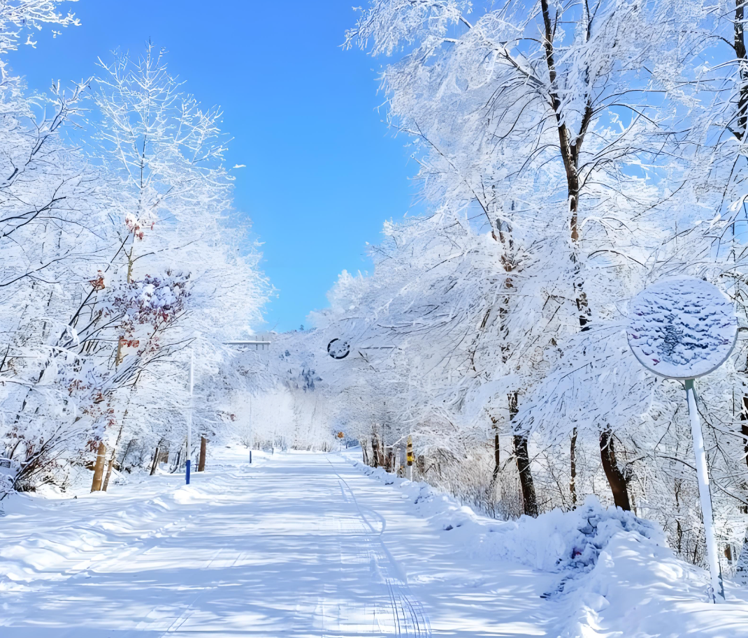 欧冠实时比分-温馨！零下37度，胡明轩冰天雪地中，给球迷签名